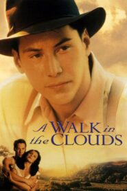 A Walk in the Clouds – Περπατώντας στα σύννεφα