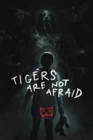Tigers Are Not Afraid – Vuelven