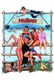 Meatballs – Μεζεδάκια