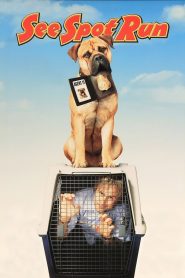 See Spot Run – Σποτ