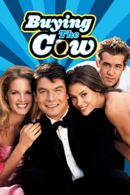 Buying the Cow – Γαμπρός με το Ζόρι