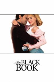 Little Black Book – Η κρυφή ατζέντα του φίλου μου
