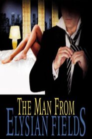 The Man from Elysian Fields – Συνοδός Κυριών
