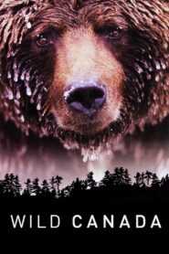 Wild Canada – Άγριος Καναδάς Δύο