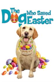 The Dog Who Saved Easter – Σκύλος που Έσωσε το Πάσχα