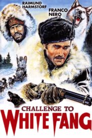 Challenge to White Fang – Η επιστροφή του άσπρου λύκου