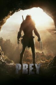 Prey – Θήραμα – Skull