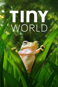Tiny World: Season 2