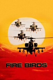 Fire Birds – Τα πουλιά της φωτιάς