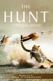 The Hunt – Το Κυνήγι
