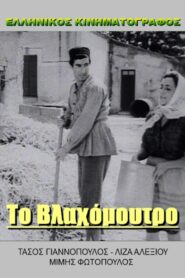 Το βλαχόμουτρο – Πράκτωρ Κίτσος καλεί Γαστούνη