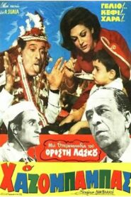 Ο χαζομπαμπάς