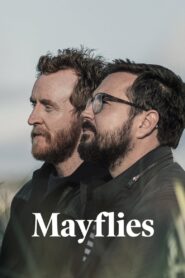 Mayflies