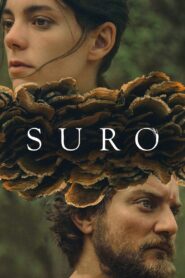 Suro – φελλός