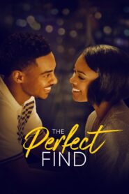 The Perfect Find – Η Τέλεια Ανακάλυψη