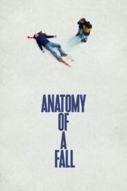 Anatomy of a Fall – Ανατομία Μιας Πτώσης