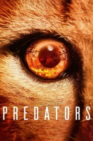Predators – Θηρευτες
