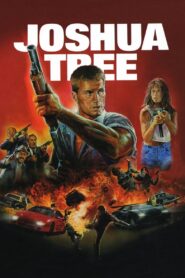 Joshua Tree – Ενέδρα στο Τζόσουα Τρι