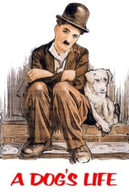 A Dog’s Life – Σκυλίσια ζωή