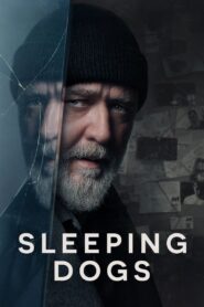 Sleeping Dogs – Κρυμμένα μυστικά