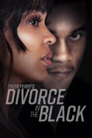 Tyler Perry’s Divorce in the Black – Διαζύγιο στη Μαύρη Κοινότητα του Τάιλερ Πέρι