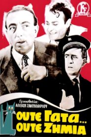 No Harm’s Done – Ούτε Γάτα Ούτε Ζημιά