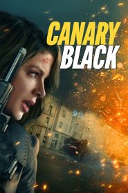 Canary Black – Μαύρο Καναρίνι