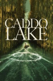 Caddo Lake – Το μυστικό της λίμνης