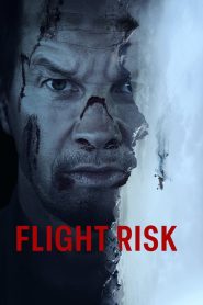 Flight Risk – Επικίνδυνη Πτήση