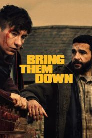 Bring Them Down – Κάθοδος