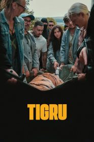 Day of the Tiger – Η Τίγρης