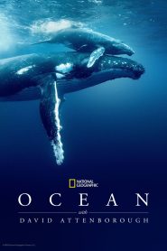 Ocean with David Attenborough – Ωκεανοί με τον Ντέιβιντ Ατένμπορο