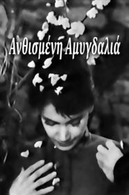 Blossoming Almond Tree – Ανθισμένη Αμυγδαλιά