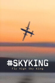 SKYKING