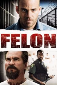 Felon – Ο Κατάδικος