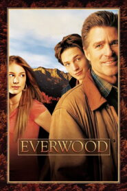 Everwood, η μικρή μας πόλη